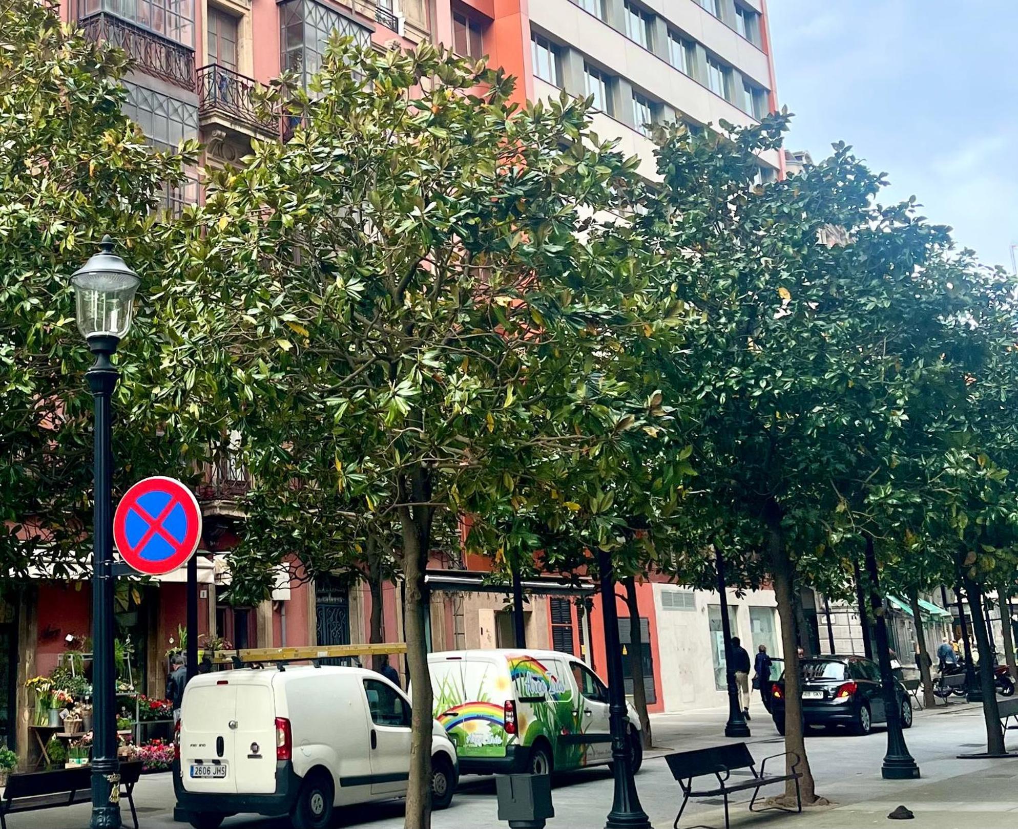 El Mirador Del Centro Lägenhet Gijón Exteriör bild